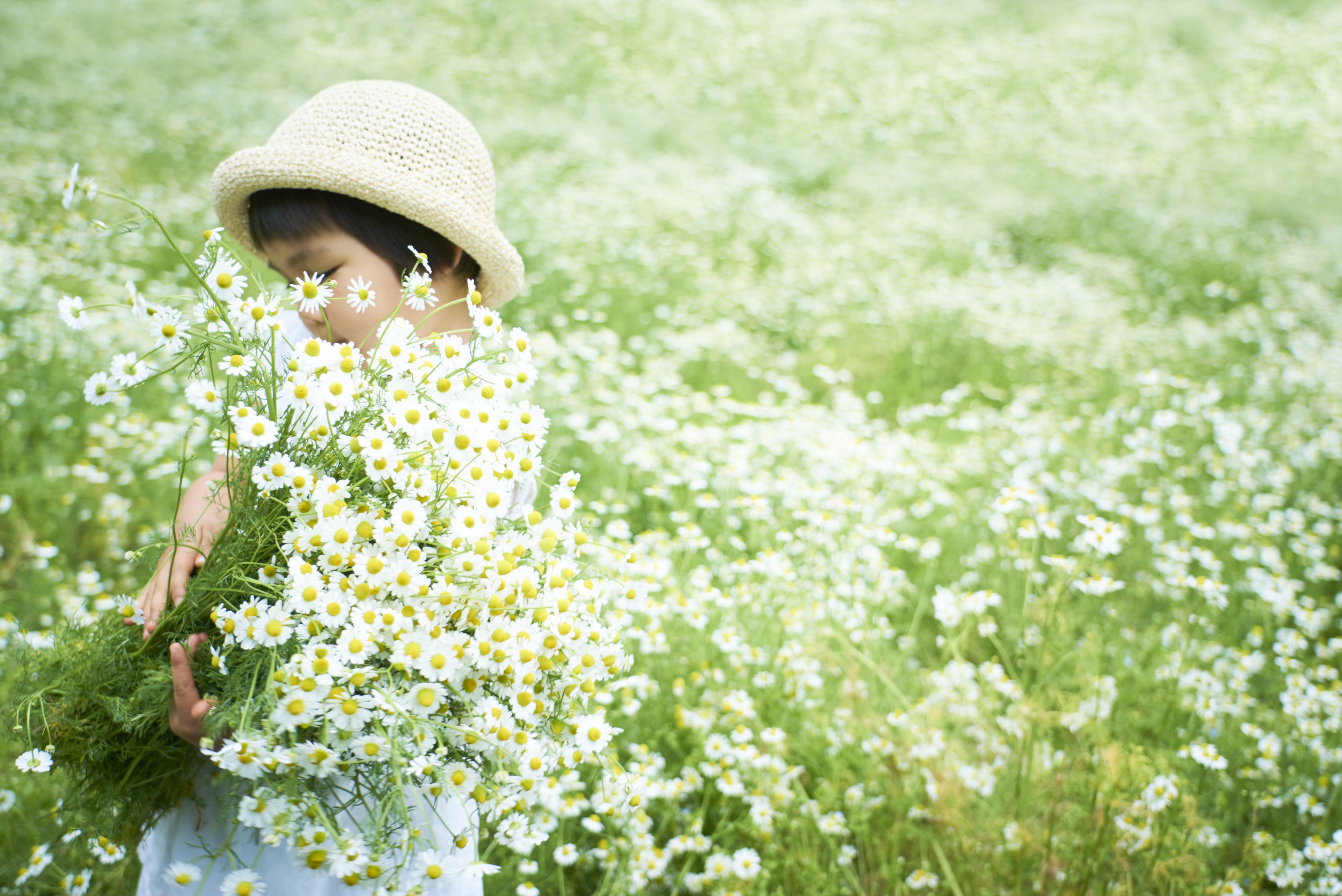 原料のカミツレを育てる長野県池田町「カミツレの里」の有機JAS認定自社農園や岐阜県の契約農家は、苗の手植えや収穫、選別、抽出まで、40年以上にわたって一貫した製法を守り続けています。製造工程には食品レベルのトレーサビリティが徹底されており、抽出タンクには生産者名と日時を記録しています。
また、華密恋の世界観を体験できる場として、日本初のBIO HOTEL®認証を受けた宿「八寿恵荘(やすえそう)」を運営。宿では華密恋の入浴剤をふんだんに使った「カミツレの湯」を体験できるほか、乳がん患者支援やアレルギーを持つ子どもたちへの自然体験教室、農業体験なども積極的に開催しています。
「生命が本来あるべき健やかな状態において、人は自ずと笑顔になる」。
代表の北條氏が話すこの言葉は、SouGoが追い求めるビジョンそのものであり、自然の力とともにある豊かなライフスタイルを提案するブランドの原点でもあります。これからも華密恋は、「すこやかな肌と身体づくり」「心地良さ」「心豊かなライフスタイル」の実現を目指し、“LIFEを、笑顔に。”を理念に掲げ、世界に向けて歩みを進めていきます。